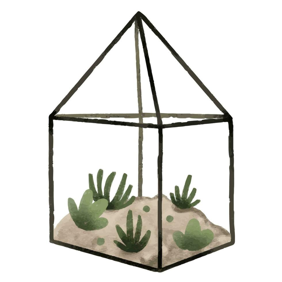 Green house with succulents, houseplant in pot. Home flower. Isolated illustration with indoor plant. Cozy home vector