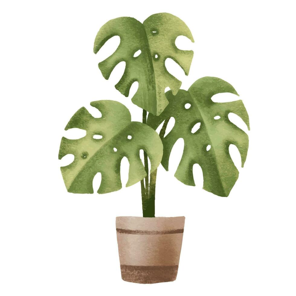 Tropical, Jungle plant Monstera deliciosa. Houseplant in pot. Home flower. Isolated illustration with indoor plant. Cozy home vector