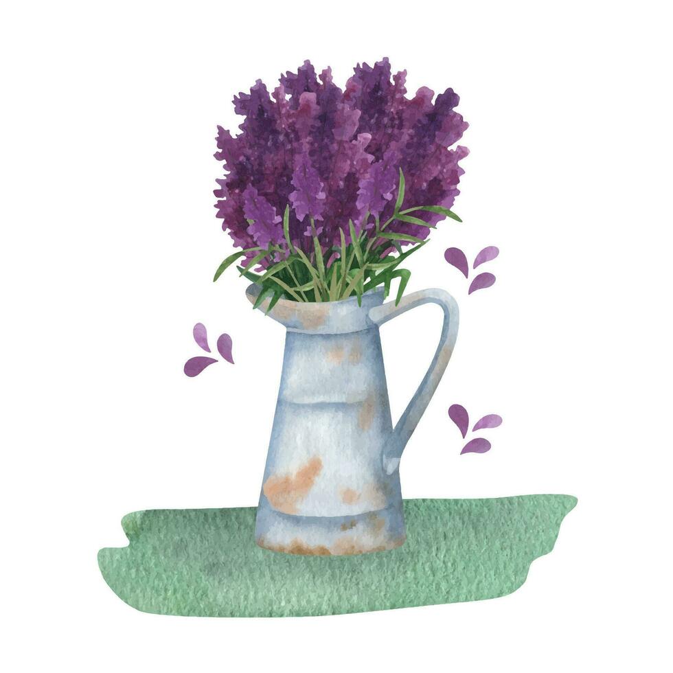 Provence watercolor tin jug with lavender flowers. Rustic pitcher for harvesting summer herbs vector