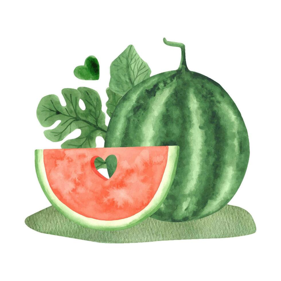 Watercolor big watermelon and ripe slice with heart on greenery field. Summer watermelon party vector