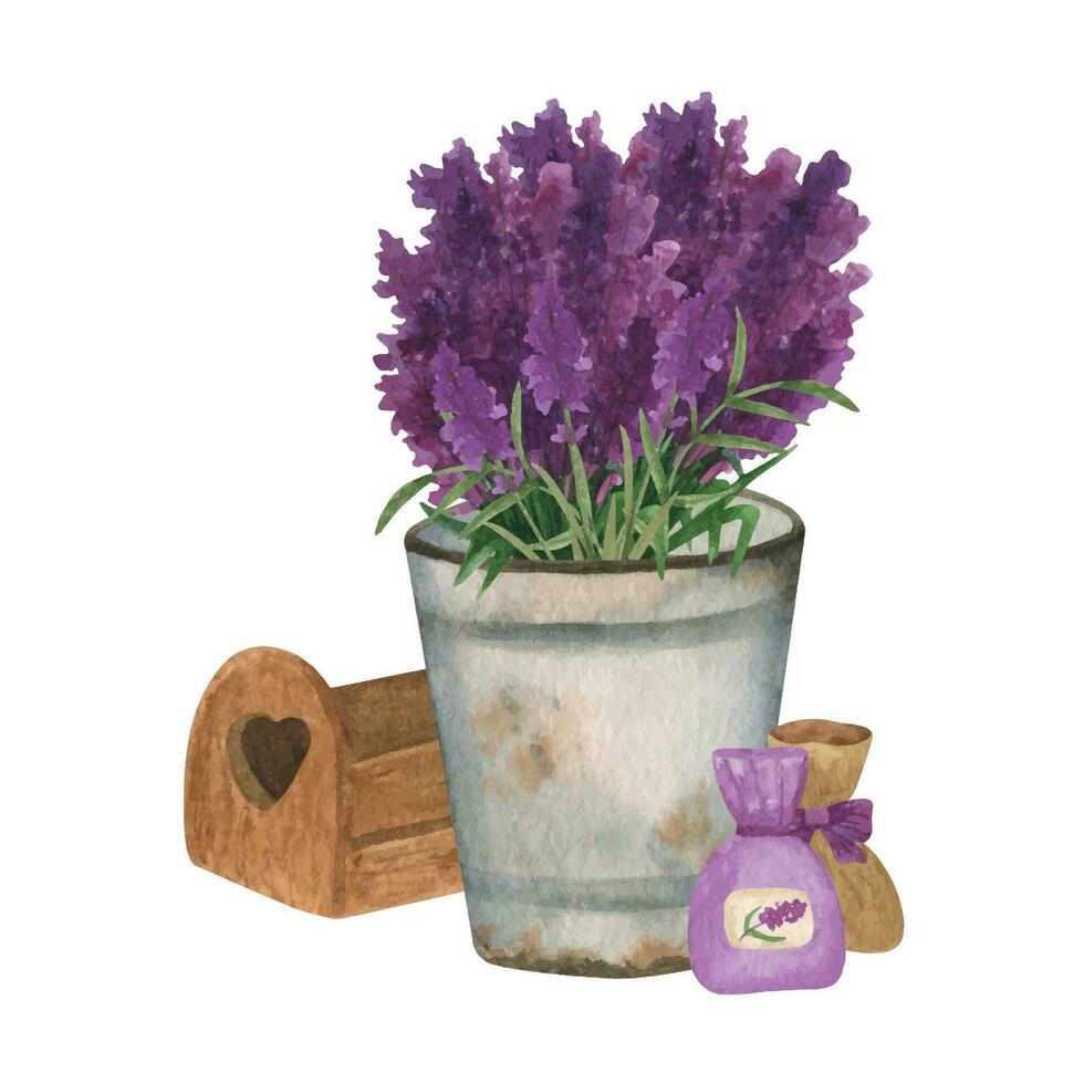 Provence watercolor rusty bucket with lavender flowers, wooden box and canvas bags vector