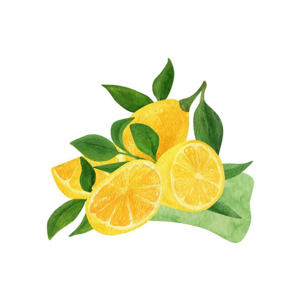 Lemon fruit watercolor clipart. Illustration of lemon branch with green leaves vector