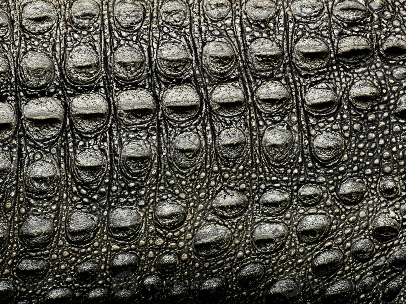 black skin texture of crocodile skin background. photo