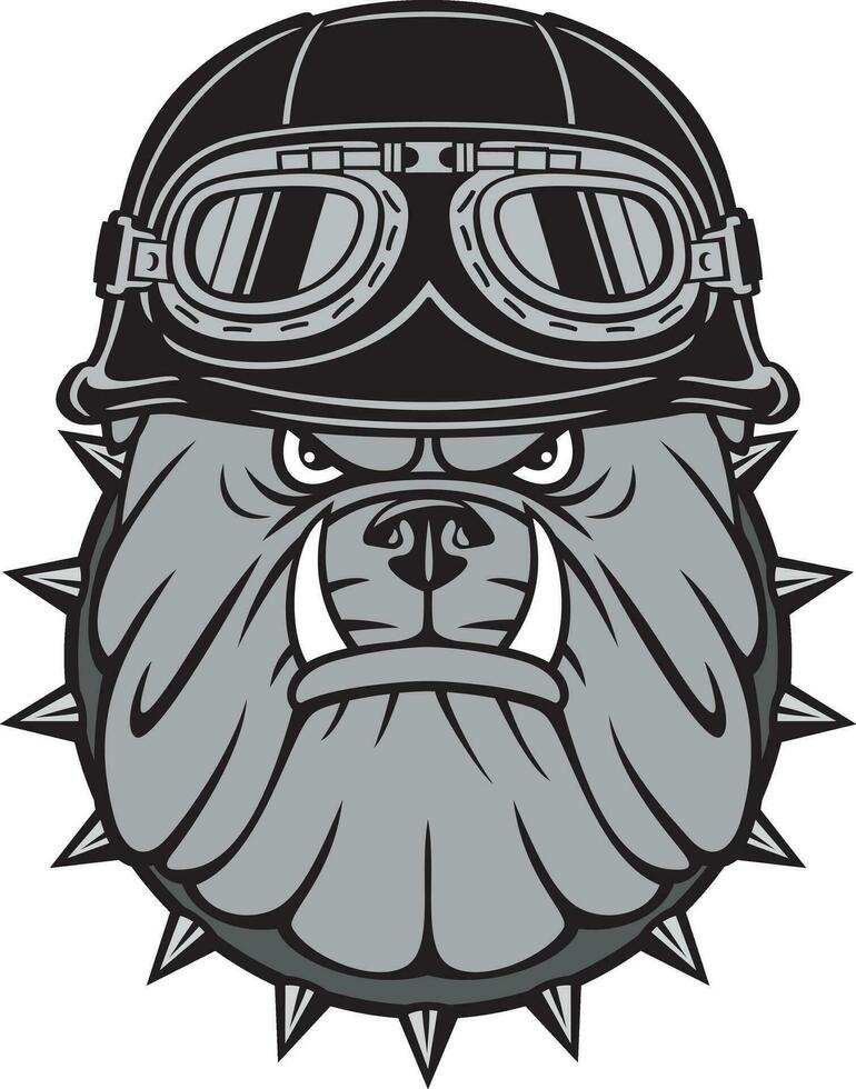 Angry Biker Bulldog Head with Motorcycle Helmet with Goggles Color. Vector Illustration.