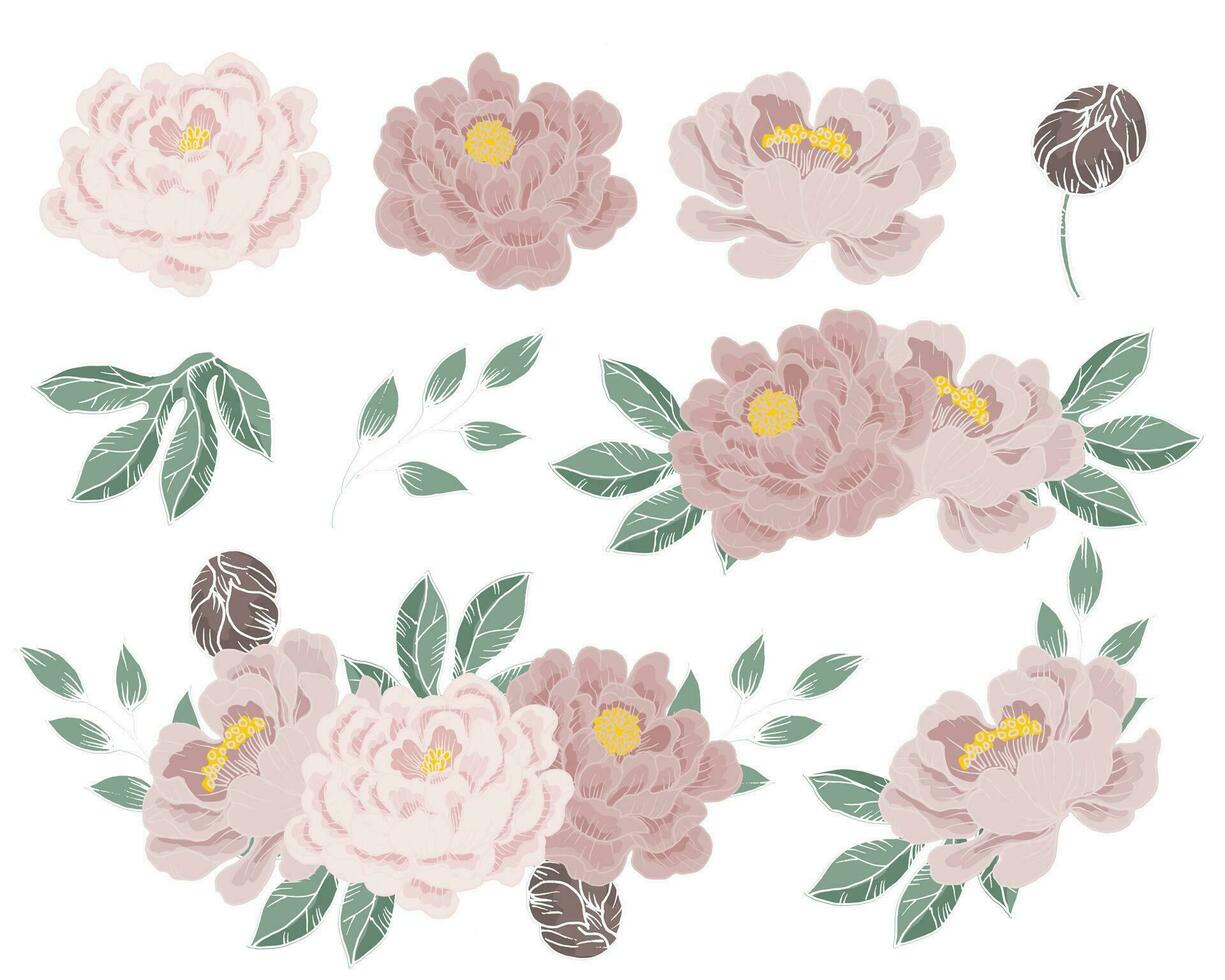 Hand Drawn Dusty Peony Flower vector