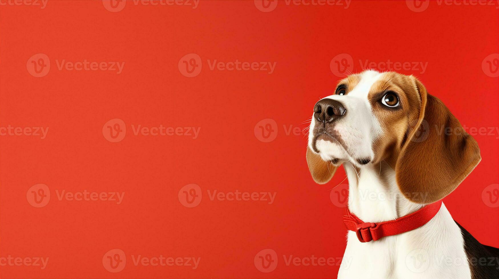 Beagle, cute dog. Web banner with copy space. Generative AI photo