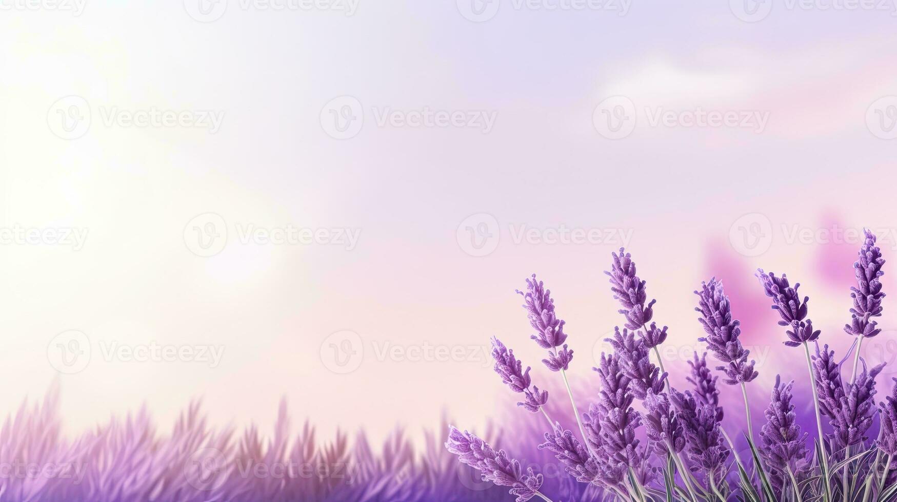 Lavender field. Web banner with copy space. Generative AI photo