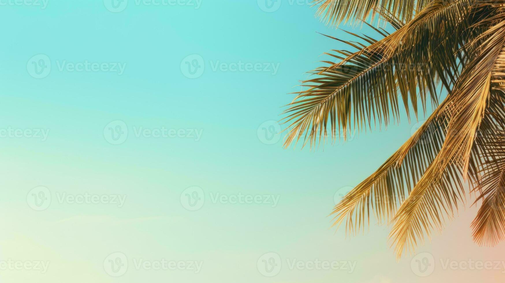 Palm tree, sky. Web banner with copy space. Generative AI photo