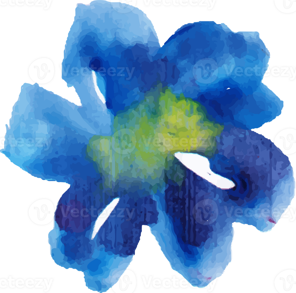 blue flower watercolor isolated png