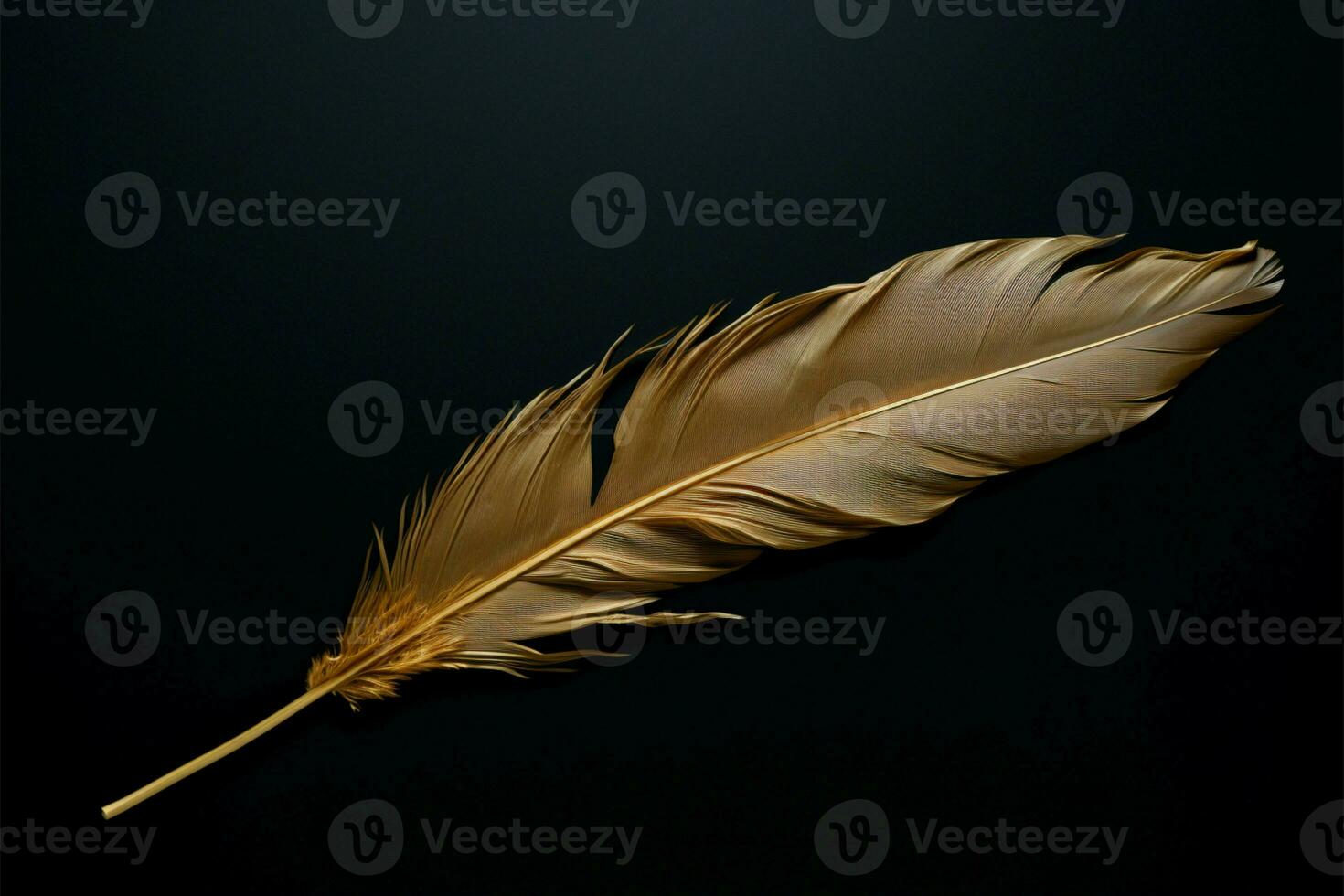 Black backdrop, a canvas for elegance with a golden feather AI Generated photo