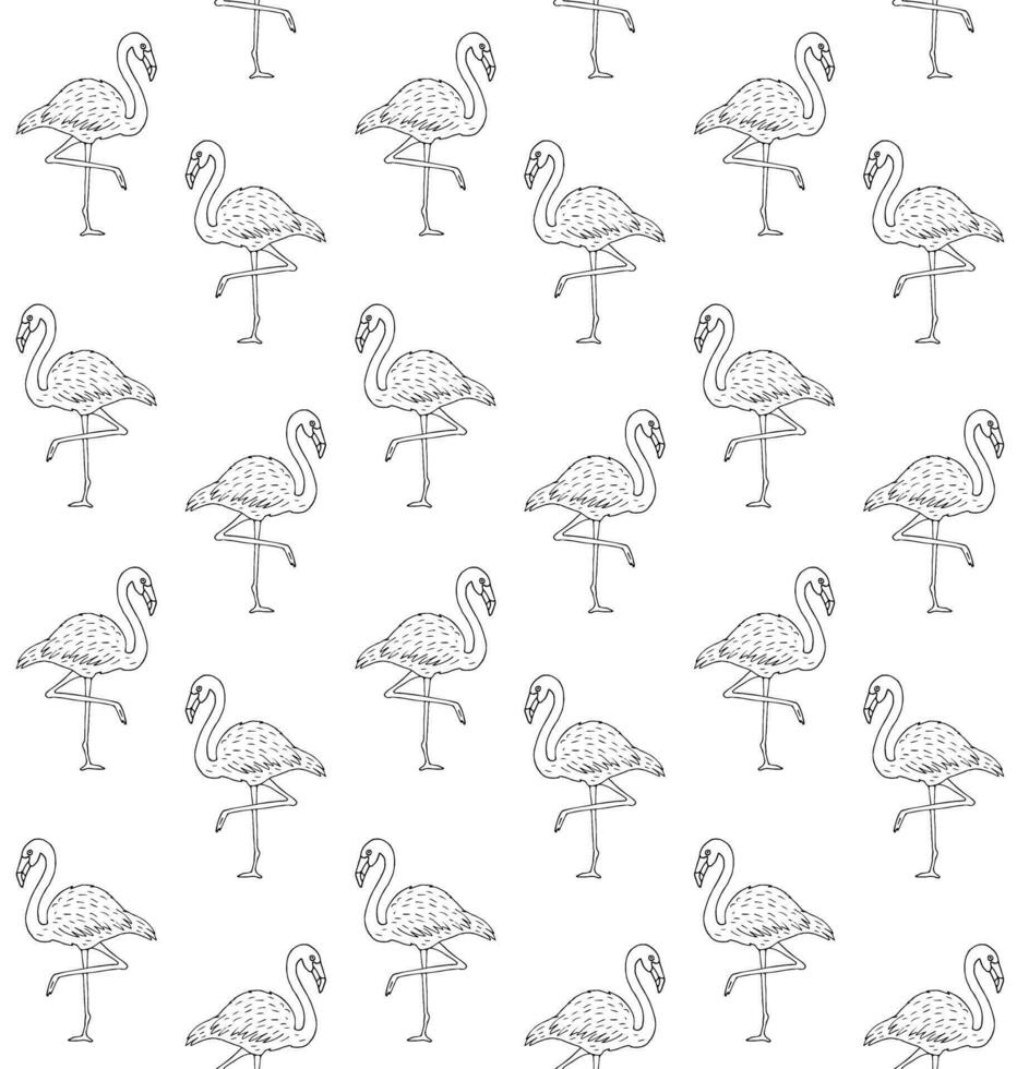 Vector seamless pattern of hand drawn flamingo