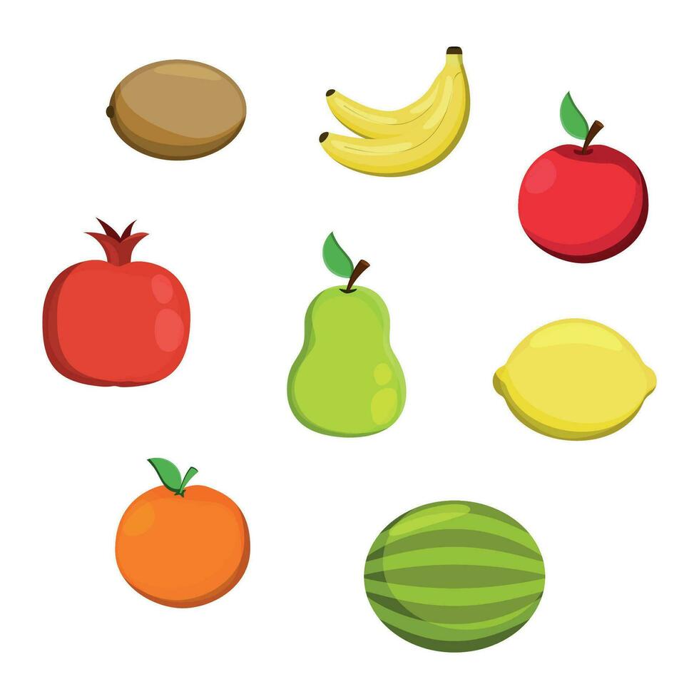 Set of juicy ripe fruits on a white background vector