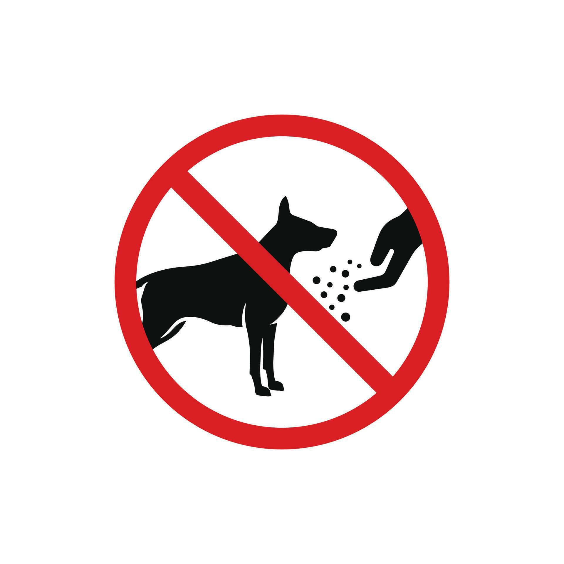 Do not feed the dog icon sign symbol isolated on white background