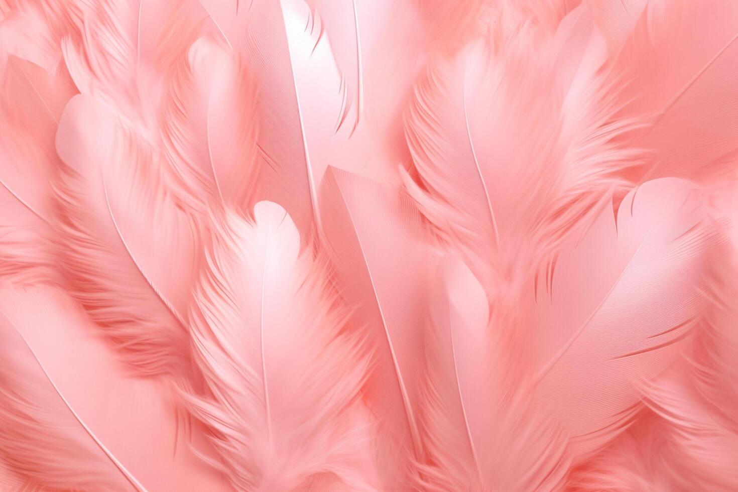 Beautiful color feathers on white background, feather texture, pink background photo