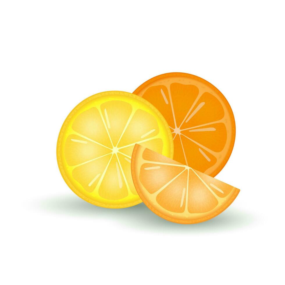 Realistic citrus slices on a white background vector