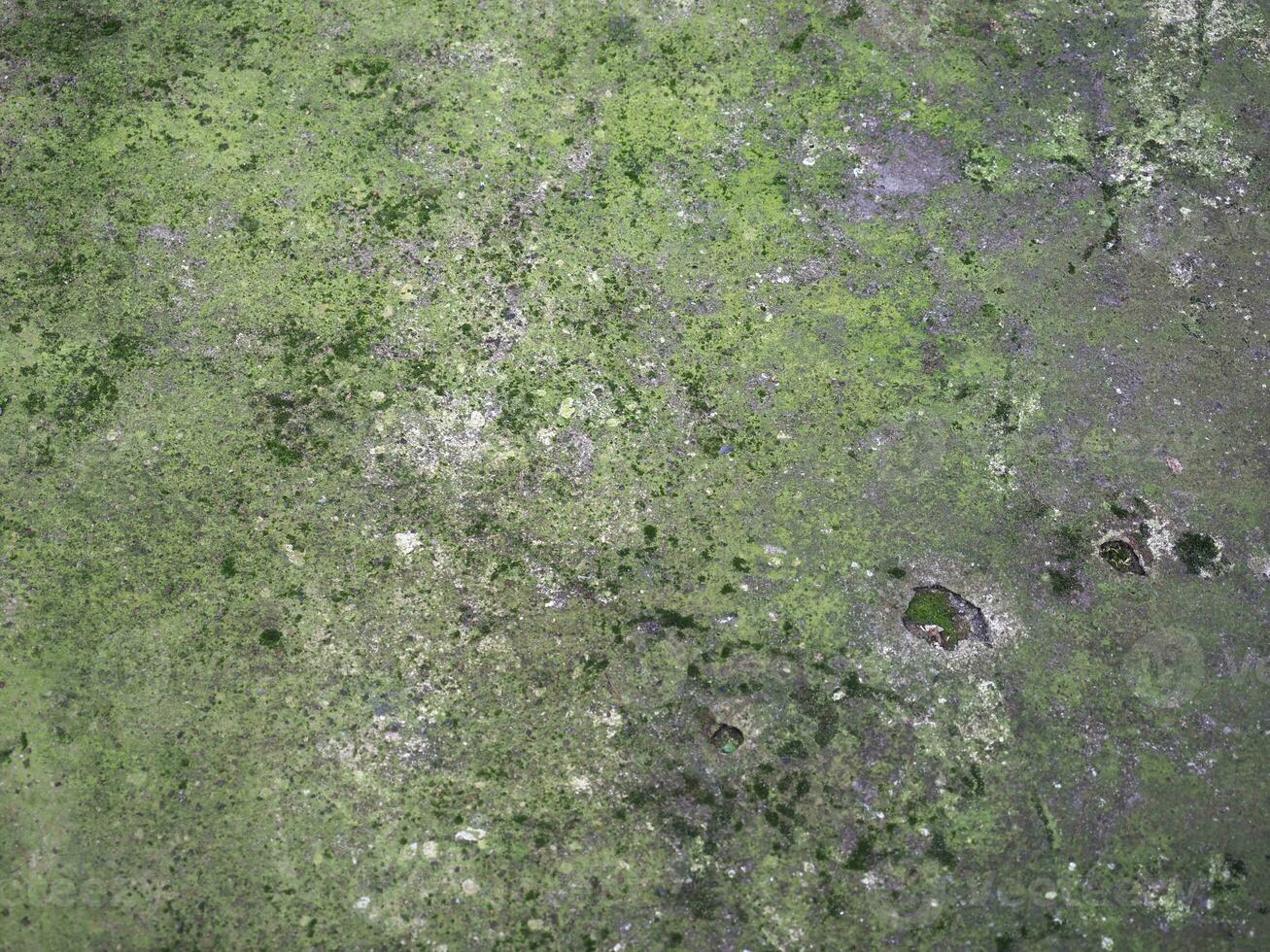 mossy concrete texture background photo