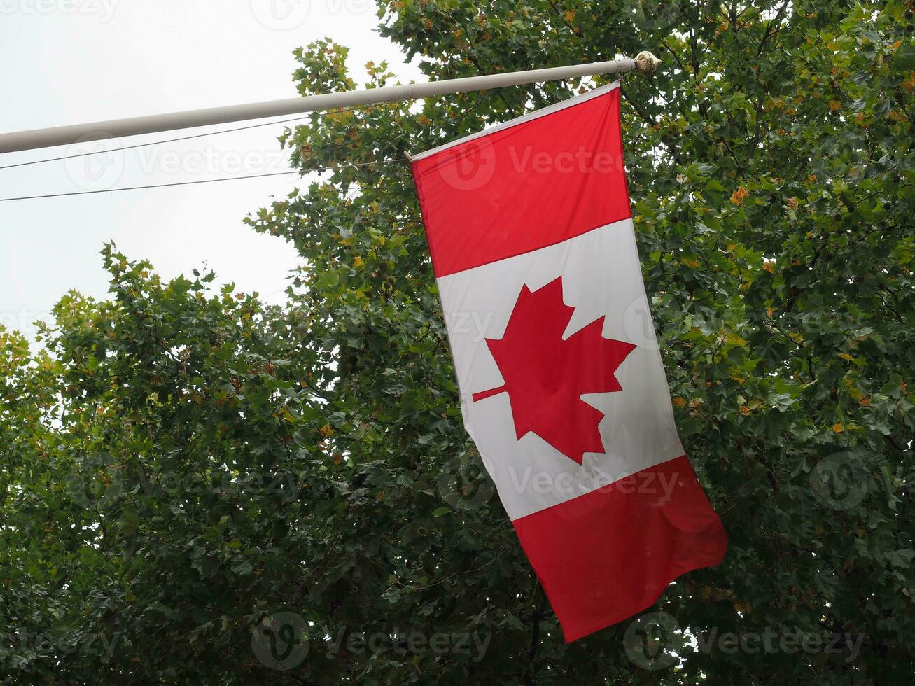 Canadian flag of Canada photo