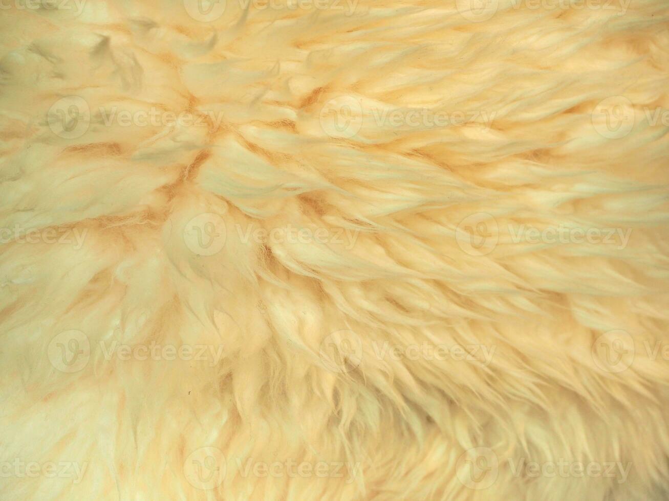 off white wool fabric texture background photo