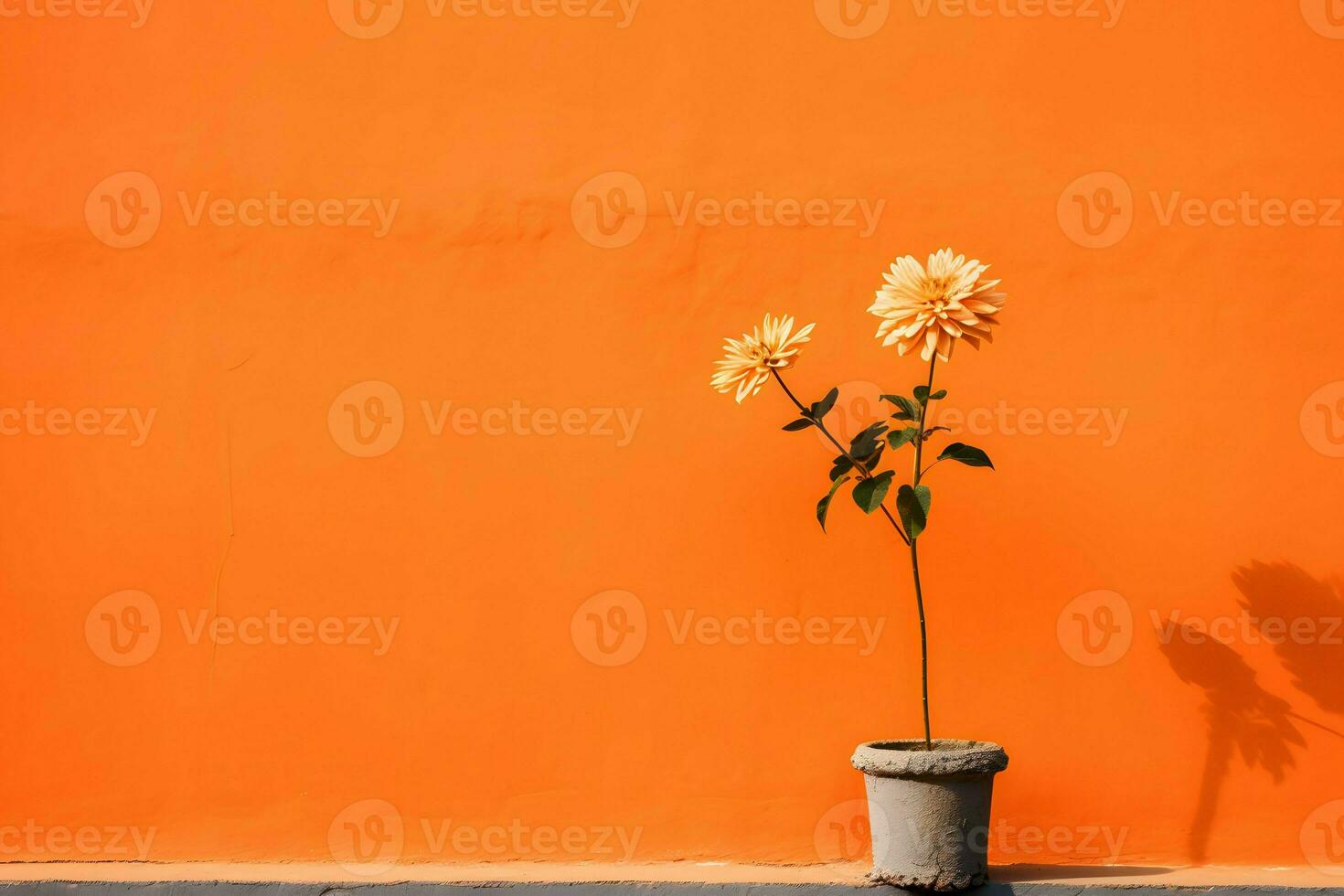 orange flat wall with flower on the side AI Generative photo