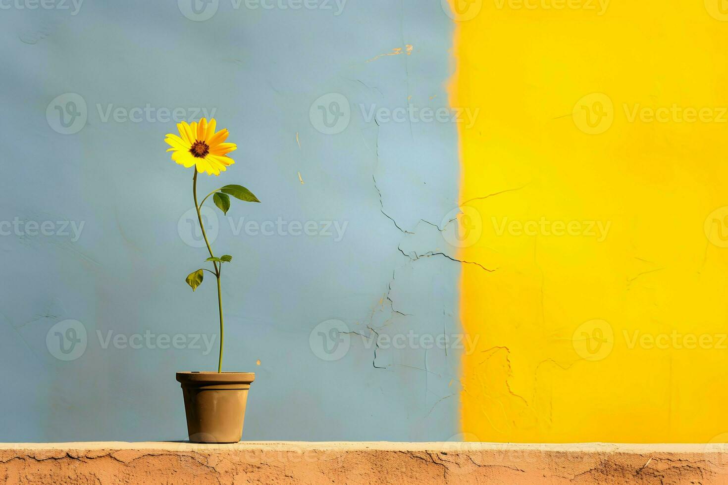 flat wall background and flower AI Generative photo