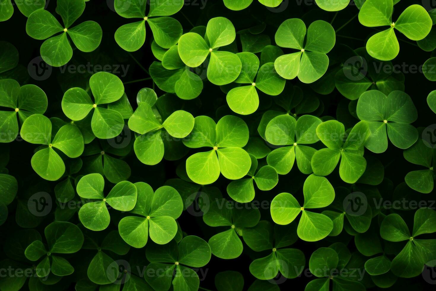 Velvety Clover leaves. Generate Ai photo