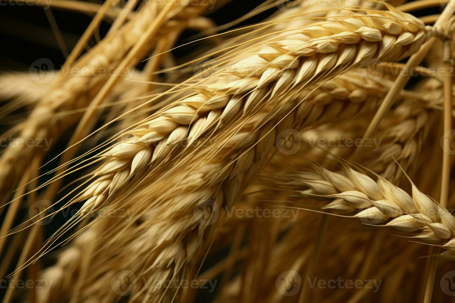 Textured Barley wheat background. Generate Ai photo