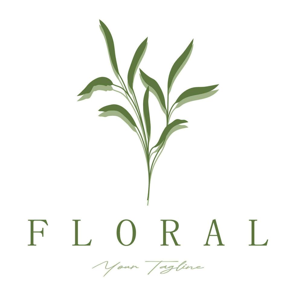 Elegant floral and leaf frame. Delicate botanical vector illustration for labels, spas, corporate identity, and wedding invitations