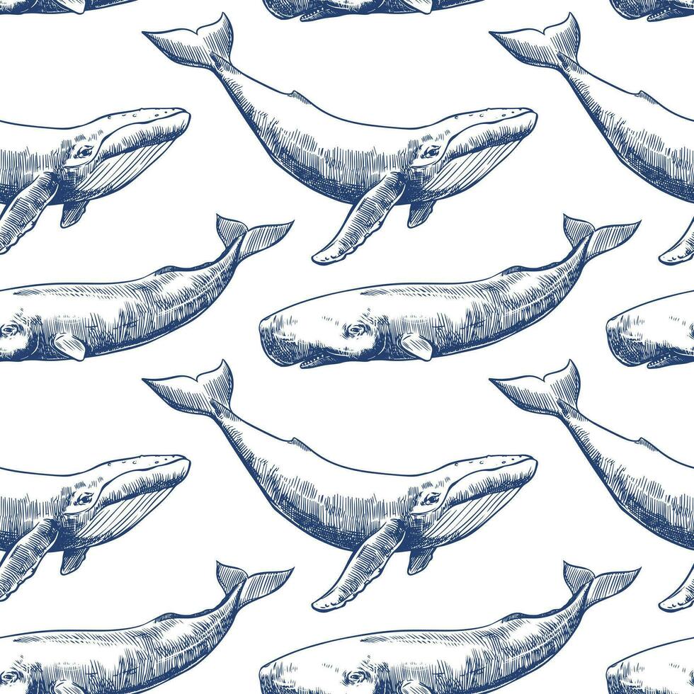 Vector seamless pattern with whales and sperm whales. Marine animals in engraving technique, freehand drawing with ink. White background. Can be used for wallpaper, textile, fabric, wrapping paper.