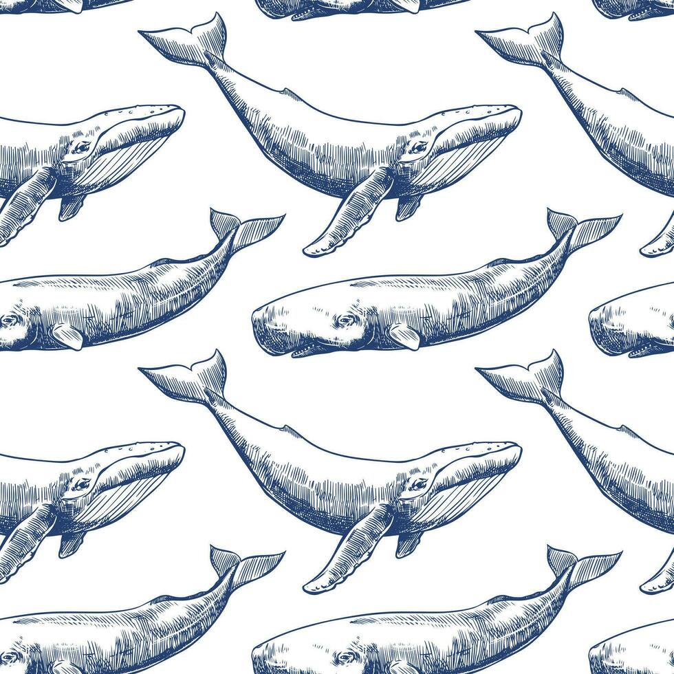 Vector seamless pattern with whales and sperm whales. Marine animals in engraving technique, freehand drawing with ink. White background. Can be used for wallpaper, textile, fabric, wrapping paper.