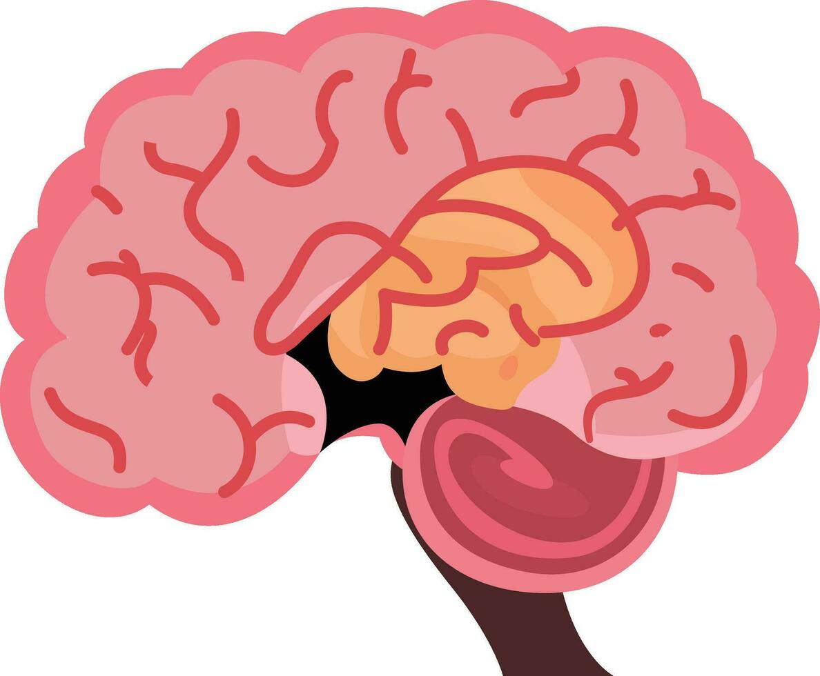 brain cancer tumor stock vector illustration, human brain with a tumor, glioma tumor, brain tumor stock vector image