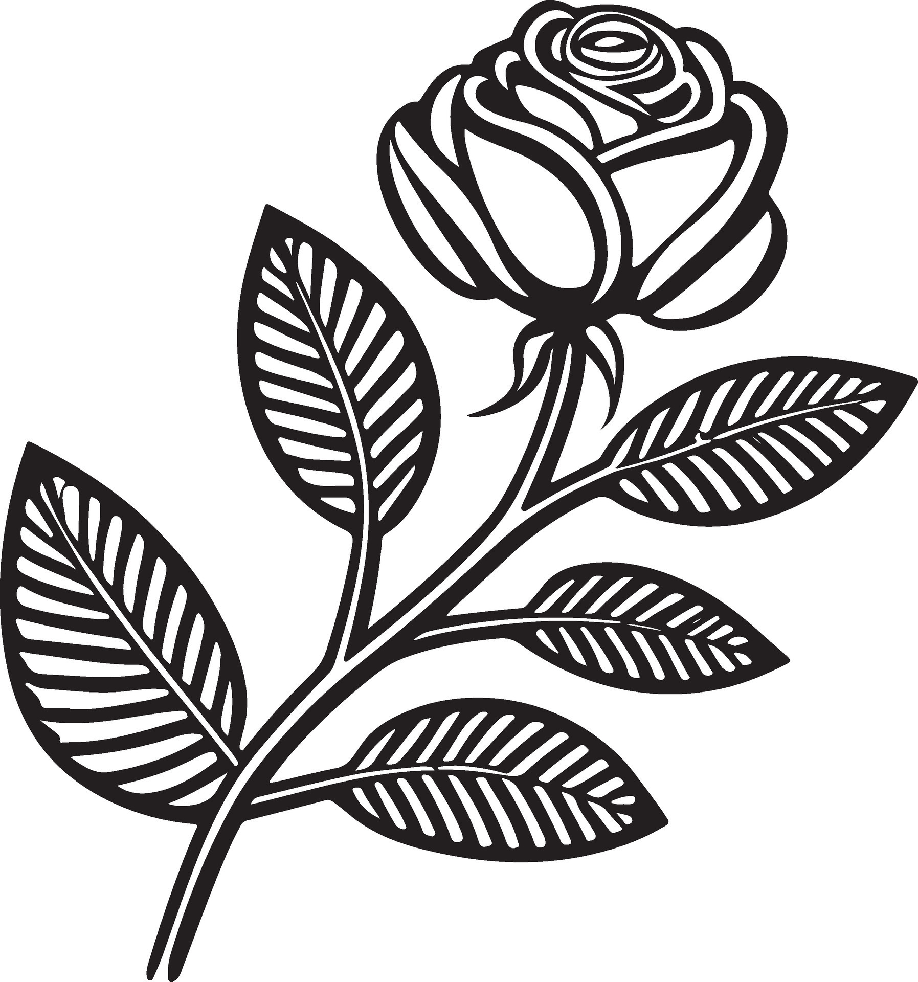 Rose Flower Clipart Black White Images. Hand drawn roses. Sketch rose