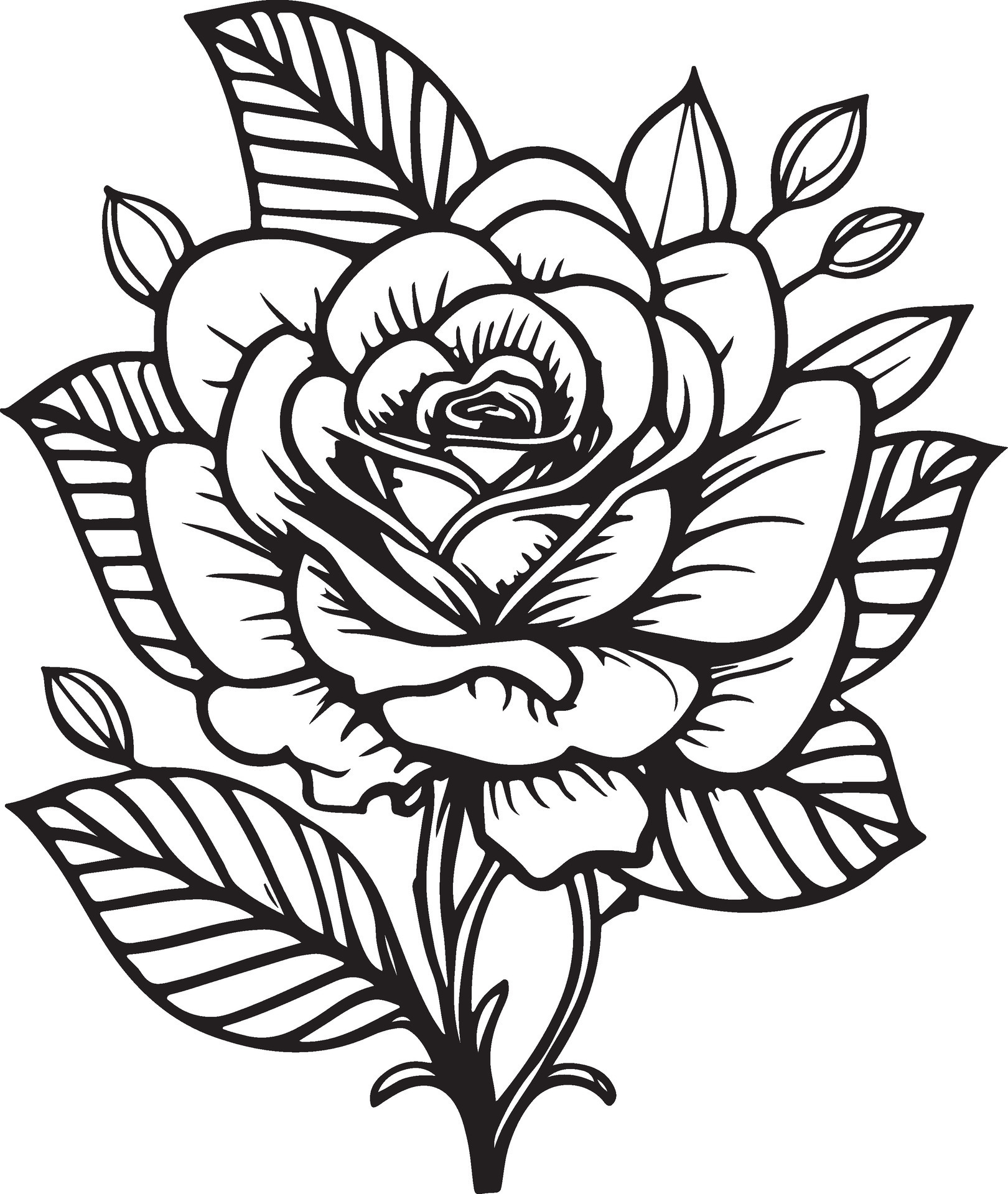 Rose Flower Clipart Black White Images. Hand drawn roses. Sketch rose