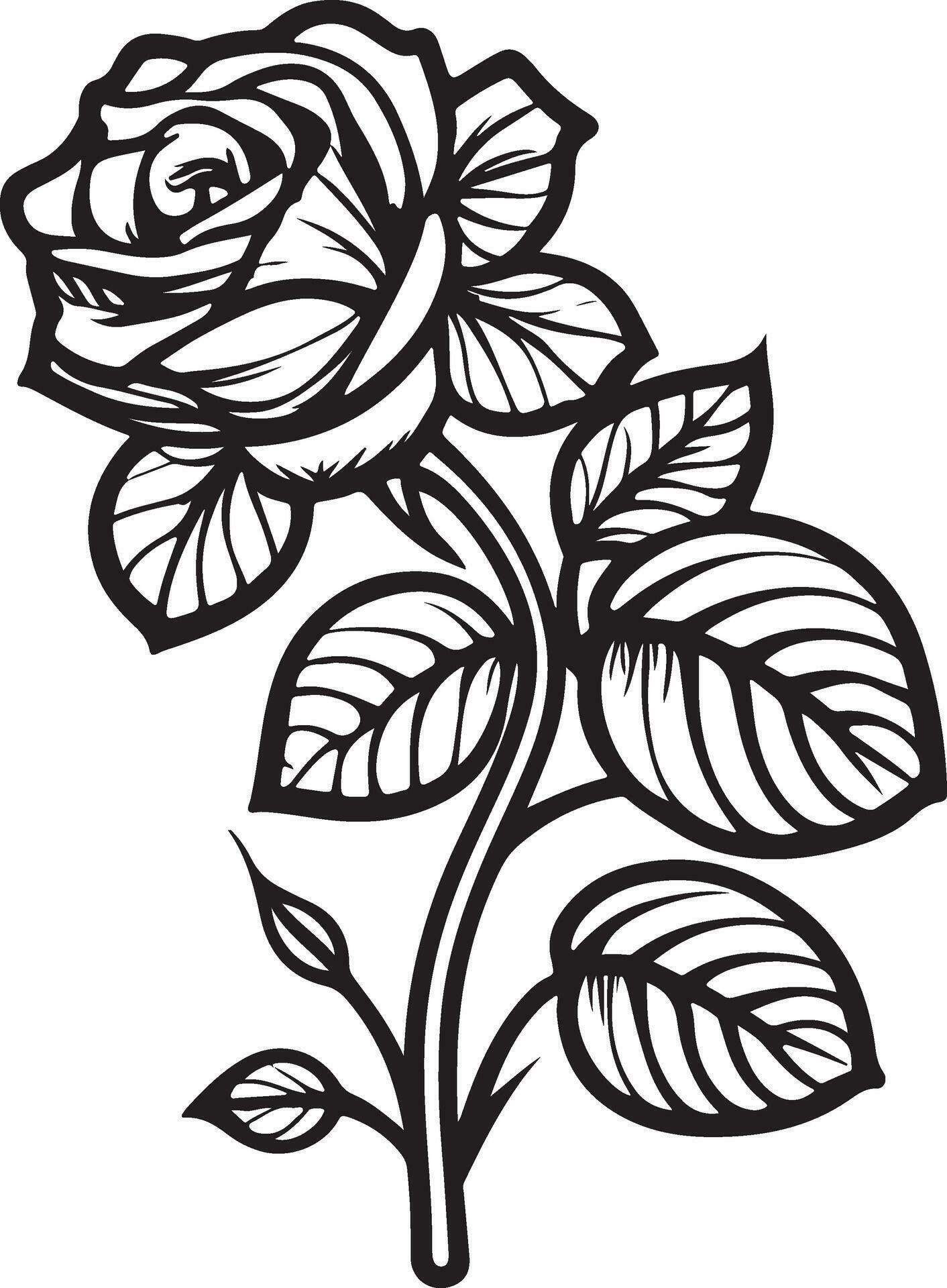 Rose Flower Clipart Black White Images. Hand drawn roses. Sketch rose