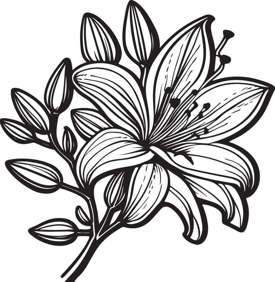 Coloring page with Lilies and leaves. Vector page for coloring. Flower Colouring page. Outline Lilies . Black and white page for coloring book.