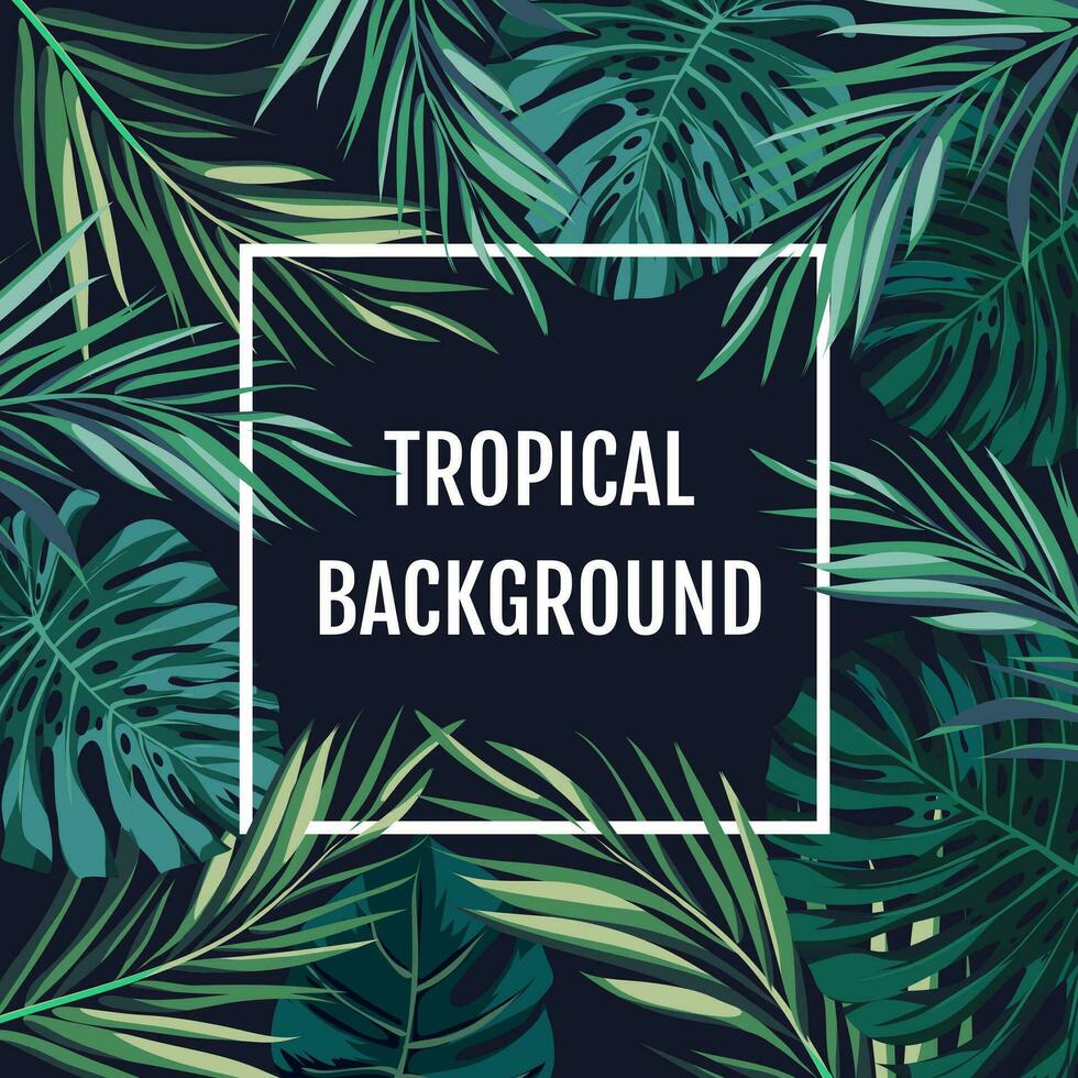 tropical background with palm leaves and the words tropical background vector