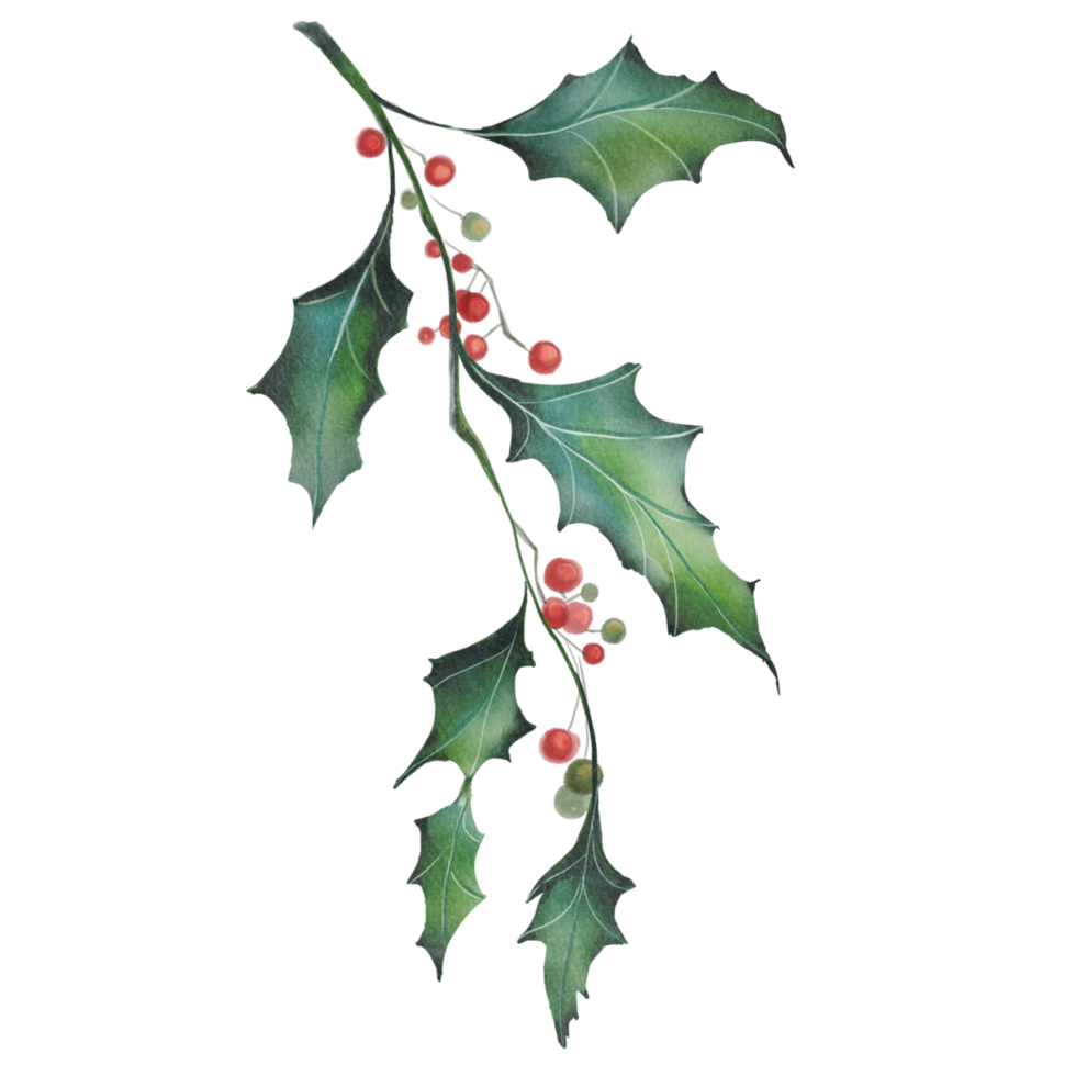 christmas frame with holly berries decorate leaf png