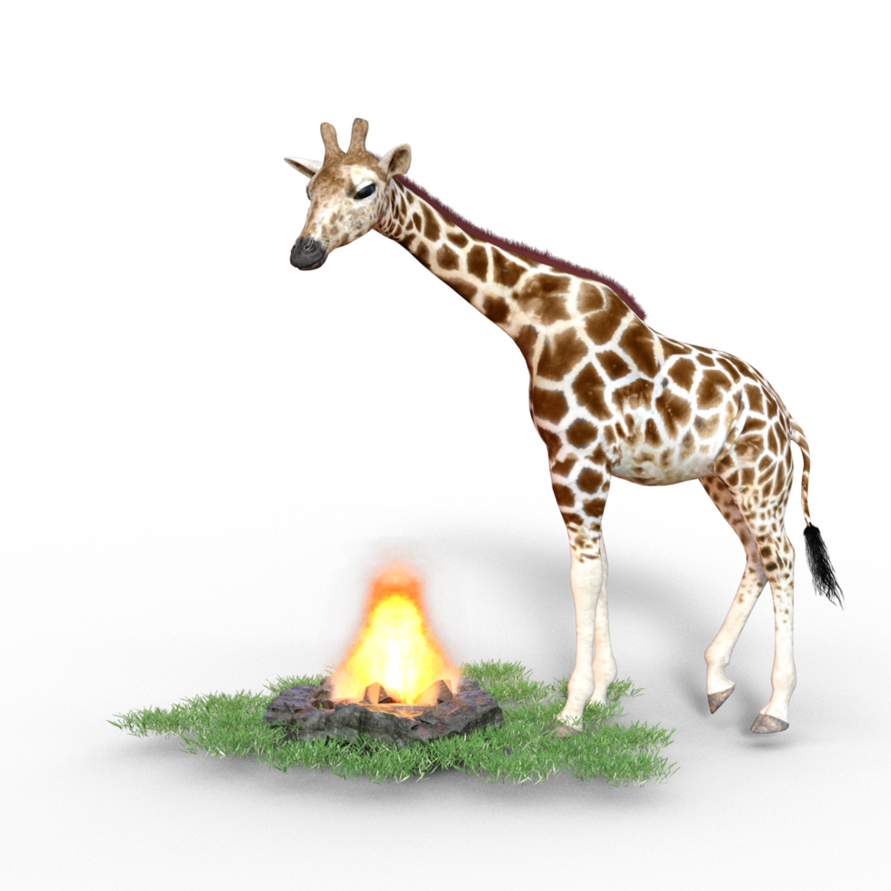 giraffe isolated 3d png