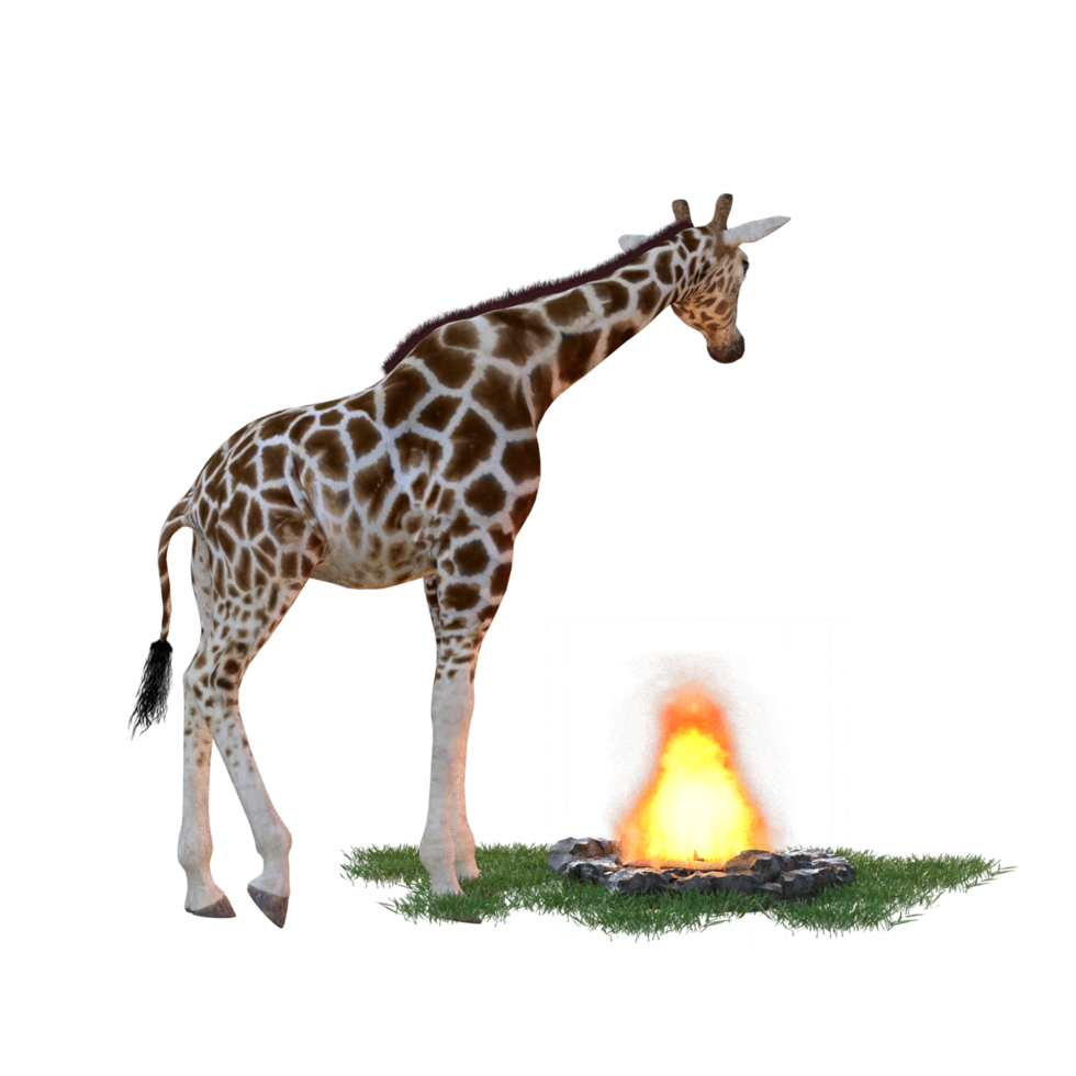 giraffa isolato 3d png