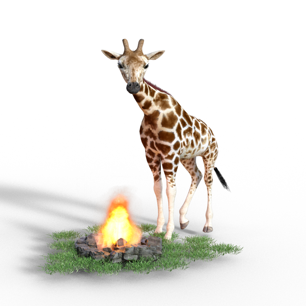 giraffe isolated 3d png
