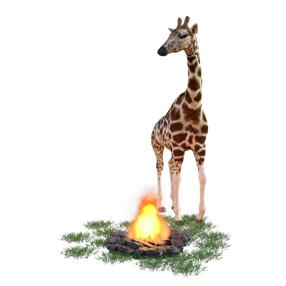 giraffe isolated 3d png
