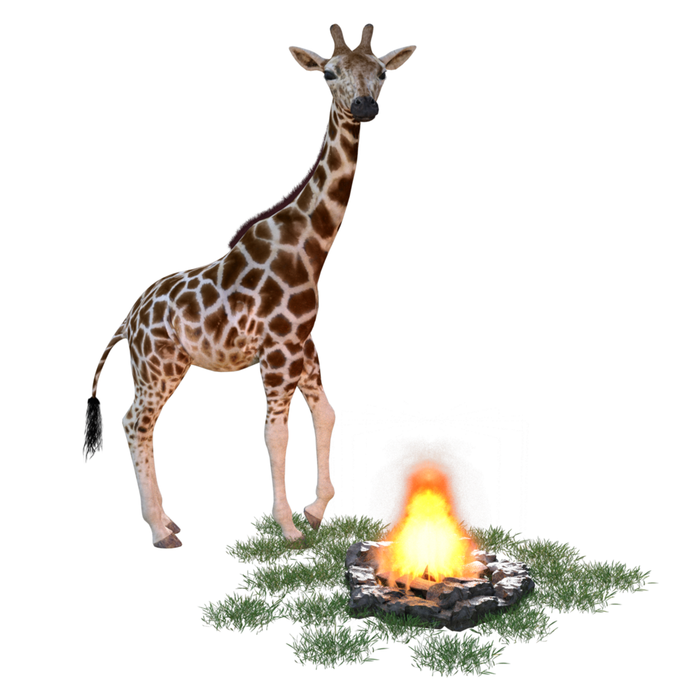 giraffe isolated 3d png