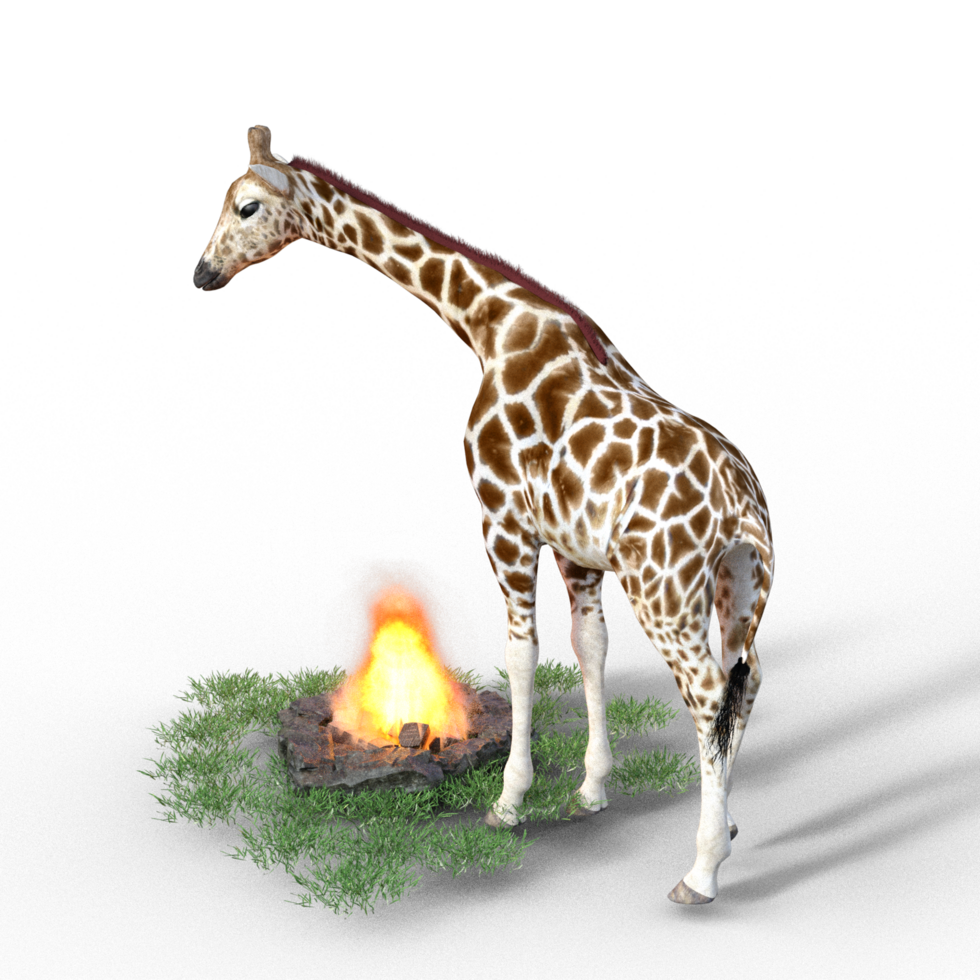giraffe isolated 3d png