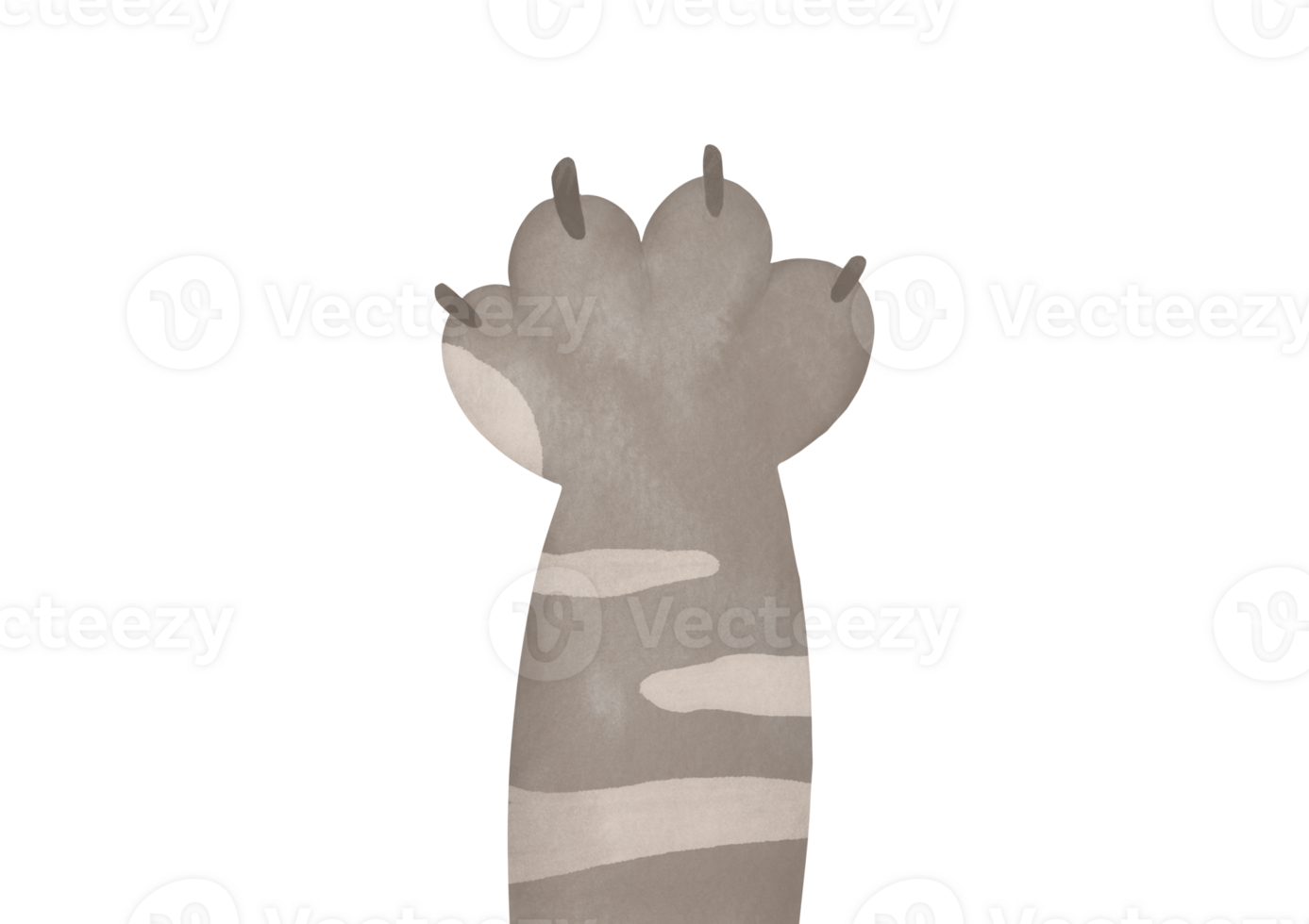 Hand gezeichnet Aquarell grau gestreift Katze Pfoten hoch. süß Karikatur inländisch Tier Fuß auf transparent Hintergrund. komisch Pelz Haustier Fußabdrücke mit Krallen. Schnitt aus und Clip Kunst drucken png
