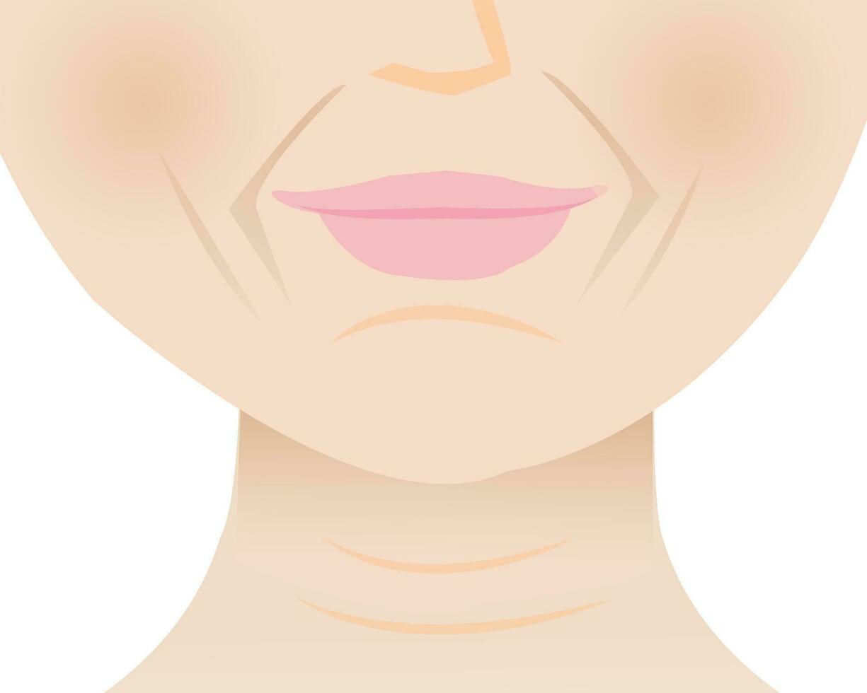 The lower face wrinkled skin of mature woman vector illustration. Marionette lines, Nasolabial folds, Smile lines, Mental crease and Neck lines. Deep aging wrinkles on face. Skin problem concept.