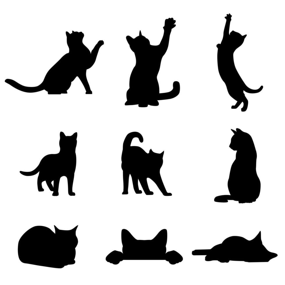 colección de gato siluetas en varios poses aislado en blanco antecedentes vector