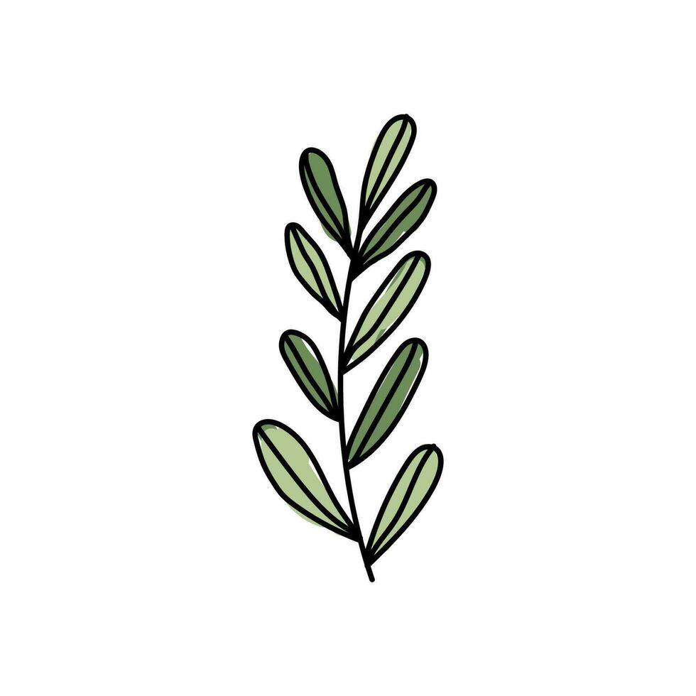 Vector illustration of leaves with outline. Hand drawn leaf logo symbol.