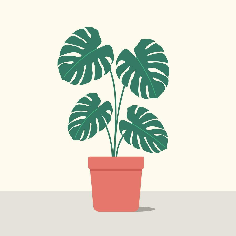 Monstera potted plant in pot in flat design vector