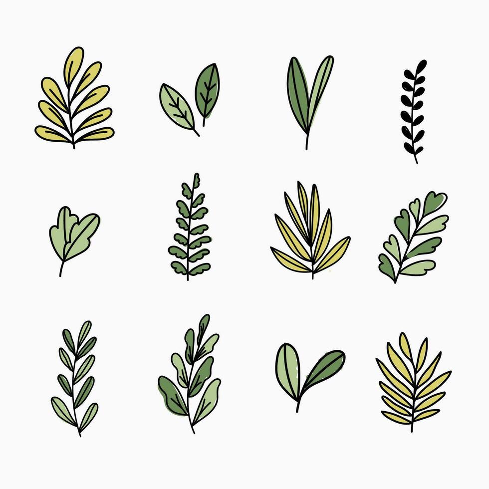 Various leaves doodle collection. Vector illustration