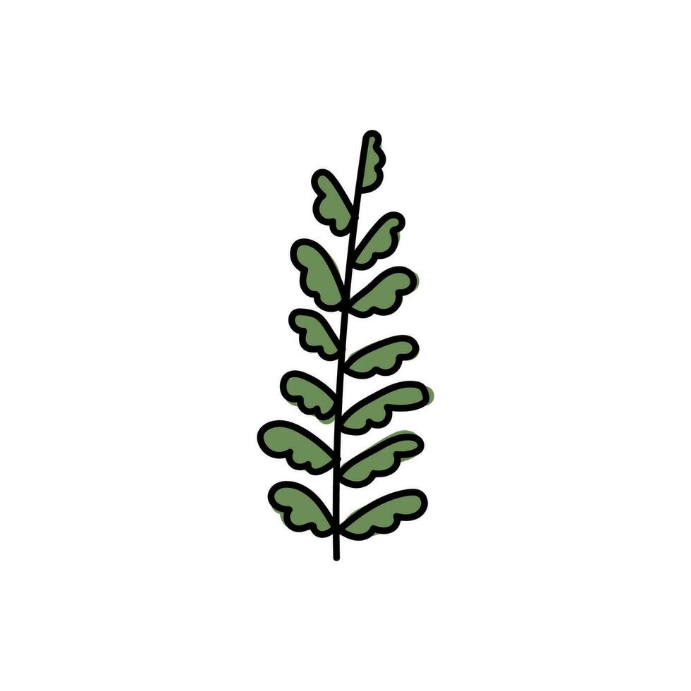 Vector illustration of leaves with outline. Hand drawn leaf logo symbol.