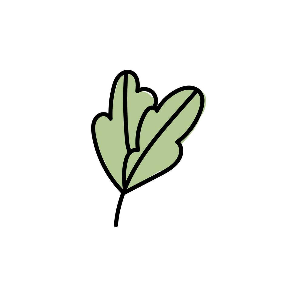 Vector illustration of leaves with outline. Hand drawn leaf logo symbol.